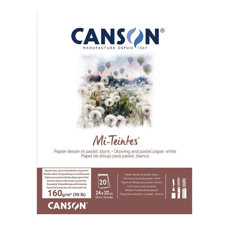 Canson Mi-Teintes Pad 24 x 32 - Image 2