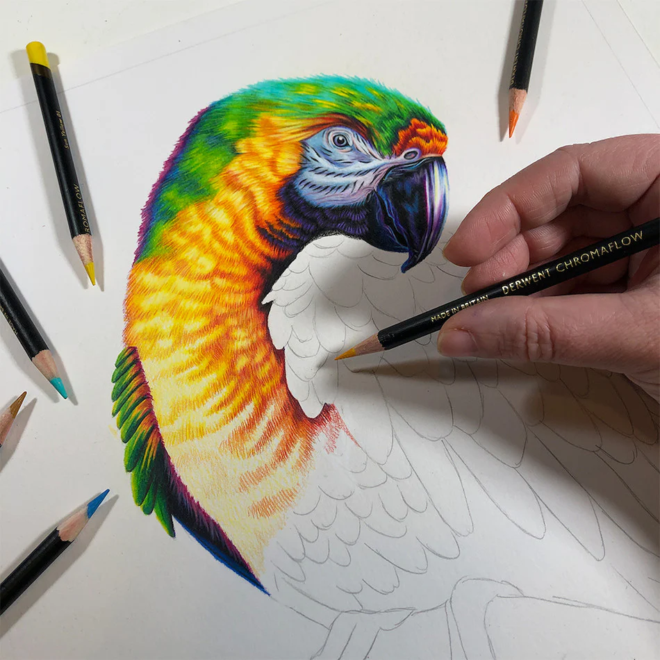 Derwent Chromaflow Coloured Pencils Tin of 24 - Image 6