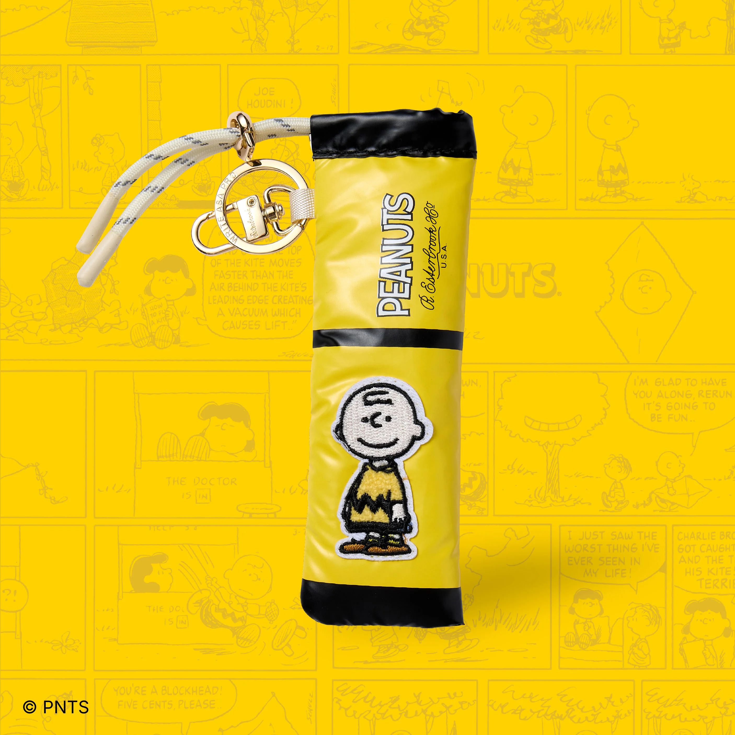 Esterbrook x Peanuts Vintage Character Edition Pen Case Charlie Brown - Image 3