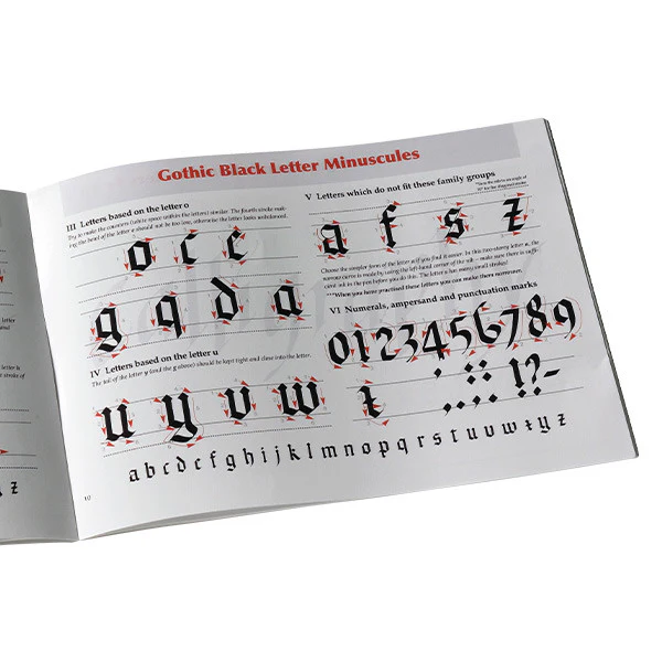 Manuscript Calligraphy Manual - Image 2
