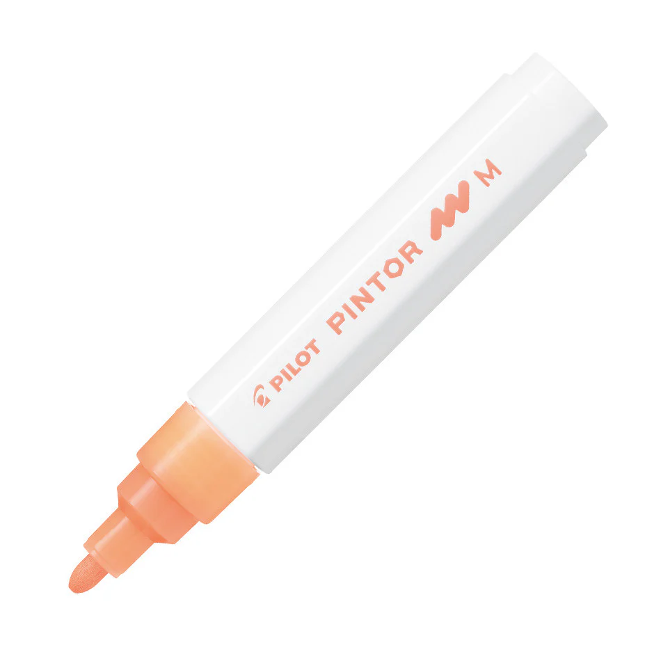 Pilot Pintor Marker Pen Bullet Tip Medium - Image 28