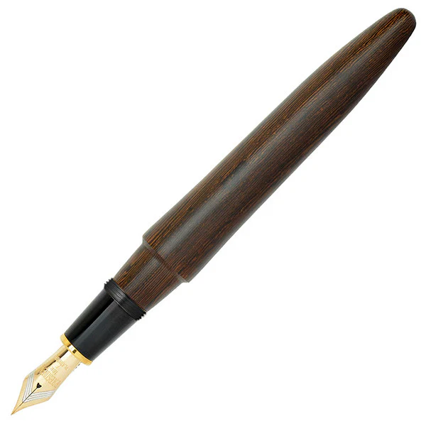 Platinum Izumo Matt Tagayasan Fountain Pen